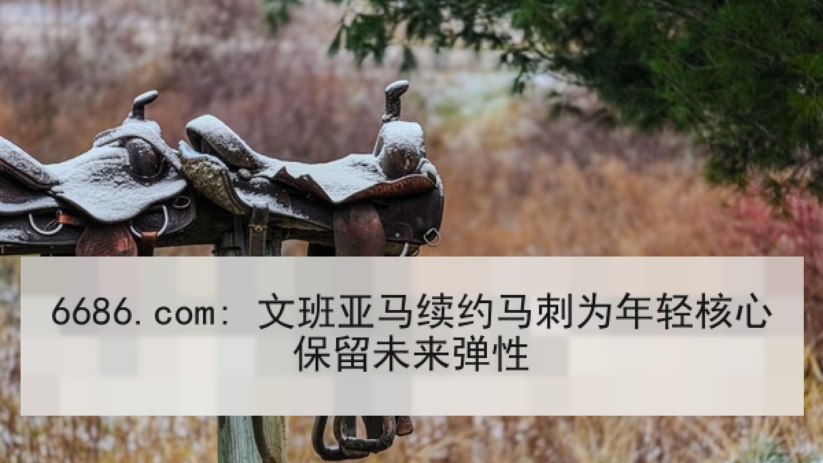 6686.com: 文班亚马续约马刺为年轻核心保留未来弹性 6686.com: 文班亚马续约马刺为年轻核心保留未来弹性